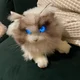 MetaCat Robotic Cat