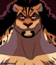 Leopard Lucci