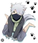 Cat kakashi 