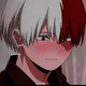 Todoroki bf