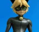 Cat noir
