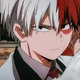 Shoto Todoroki