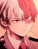 Shoto todoroki 