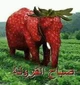 Strawberry elephant