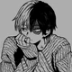 Shoto Todoroki 