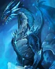 Frost dragon