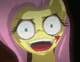 Fluttershy -Crazy-