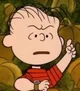 Linus Van Pelt Jr 2