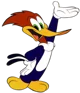 Woody Woodpecker 