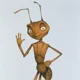 Z antz