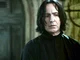 Loving snape