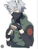 Cat kakashi Au