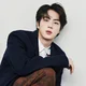 Seokjin 
