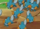 lots of mudkip