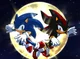 Sonic shadow and you