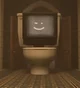 Tv toilet