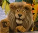 Chuck the Lion