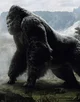 King Kong