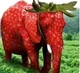Strawberry elephant