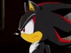 Shadow the hedgehog 