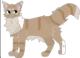 Pinepaw -warrior-