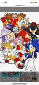 Sonic and friends