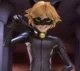Cat Noir 