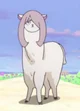 Sucy Llama
