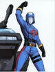 Cobra commander