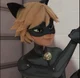 Chat Noir