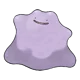 Ditto