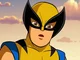 Wolverine - SHS