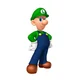 Hairless luigi