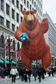 Balloon bear 