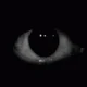 Eye of darkness