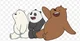WE BARE BEARS