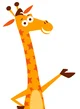 Geoffrey the giraffe