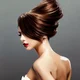lily su lee