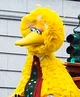 Big bird v