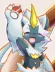 Zera The Zeraora 