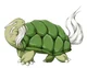 Genji Turtle