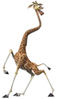 Melman