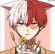 Shoto Todoroki cat