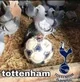 Hincha del tottenham