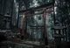 haunted forest 