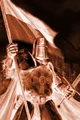 Bronze Templar