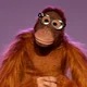Jackie the Orangutan