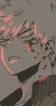 Katsuki Bakugou 