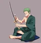 Zoro estudiante 