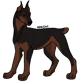 Arrow the fiercedog